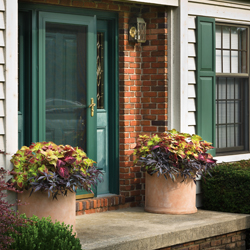 Nothing Says Welcome Like an Entry Garden