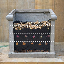 Tips for Layering Bulbs