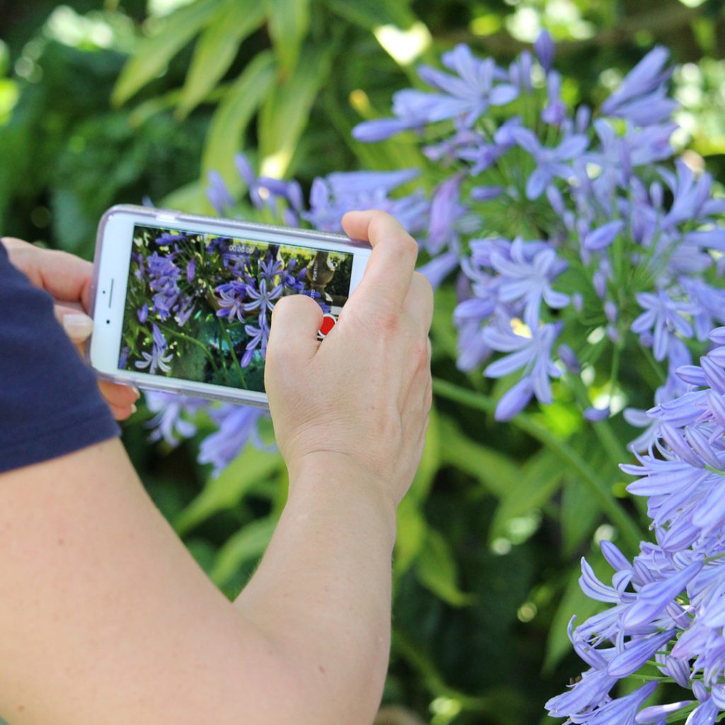 Cultivating A Passion for Garden Photography